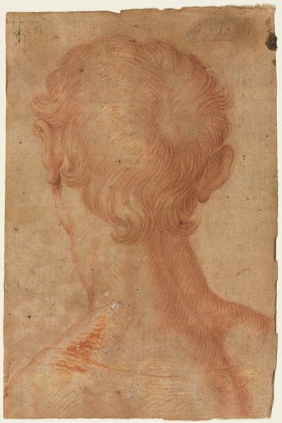 A cabeça do homem de trás de copy after Agnolo Bronzino