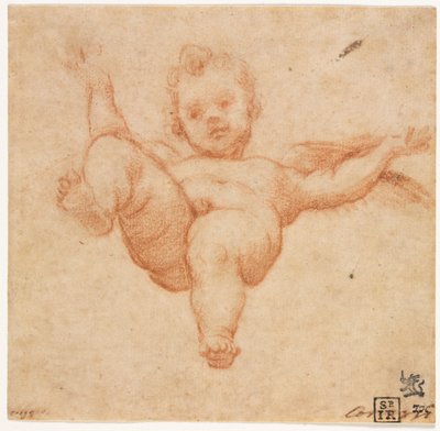 Cupido Voador de follower of Annibale Carracci