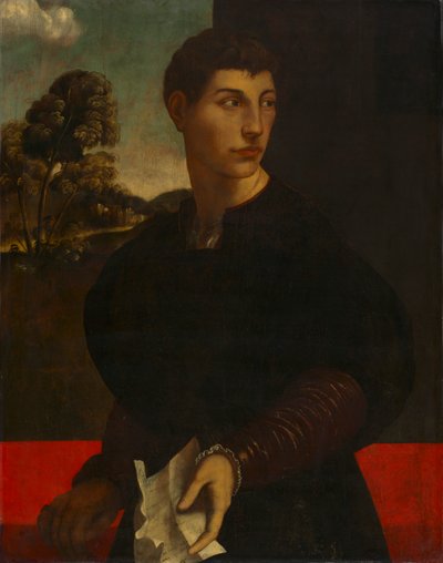Retrato de um jovem de follower of Dosso Dossi