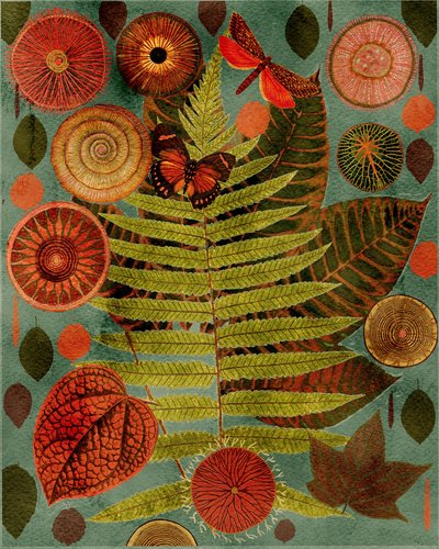  de giovanna nicolo