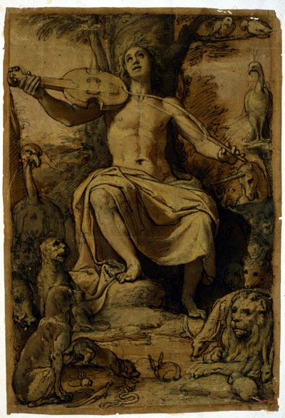 Orfeu encantando os animais com a música de um violino. Desenho de Federico Zuccari (1542 - 1609). de or Zuccaro Federico Zuccari