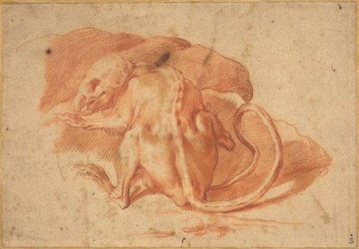 Um rato parcialmente esfolado de possibly Florentine or Roman Italian 16th