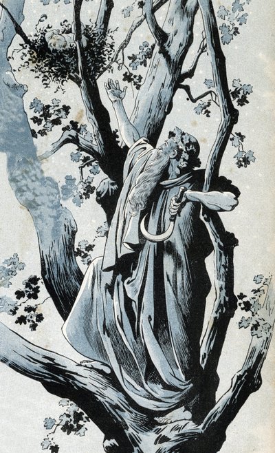 Um druida galego, subindo num carvalho para apanhar azevinho com a sua serpente, descobre lá uma menina. em "France, his story told by G. Montorgueil, imaged by Job" 1896. Colecção privada. de pseudonym for Onfray de Breville Jacques Job