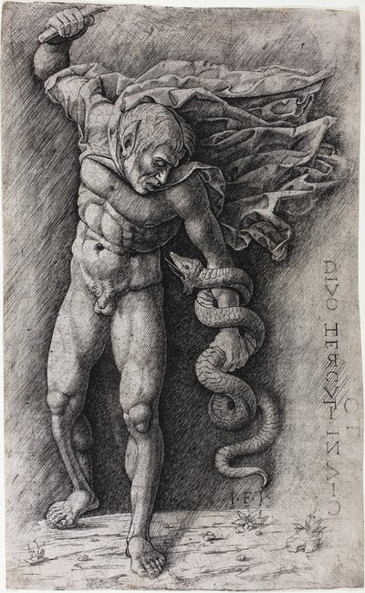 Fauno atacando uma cobra de school of Andrea Mantegna