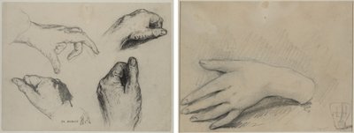 Estudo das Mãos (reto); Estudo da mão de uma mulher (verso) de studio of A. W. A. Plâté Studio (Ceylonese)
