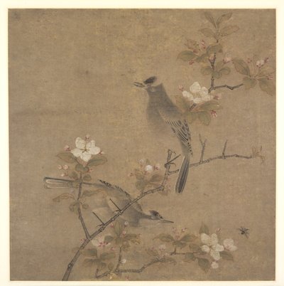 Flores e pássaros de style of Qian Xuan