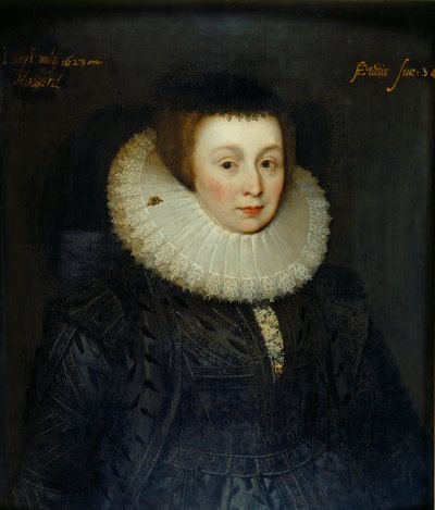 Retrato de Lady Emily Howard, início do século XVII de the Younger School of Marcus Gheeraerts