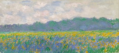 Campo de íris amarelas em Giverny, 1887 de Claude Monet