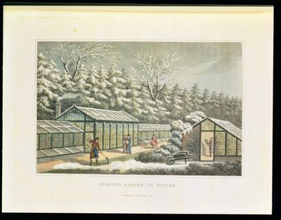 Forçando o jardim no inverno, dos fragmentos na teoria e na prática da jardinagem de paisagem &39;, bar. 1816 de Humphry Repton
