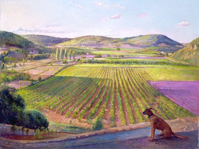 Assistindo das paredes, Old Provence, 1993 de Timothy Easton