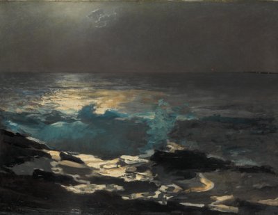 Luar, Ilha da Madeira, 1894 de Winslow Homer