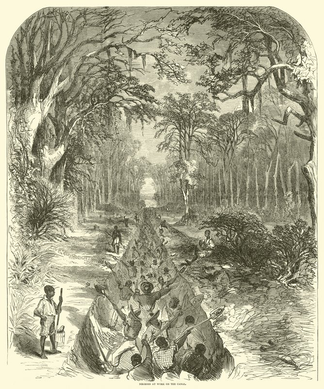 Negros a trabalhar no canal, março de 1863 (gravura) de (after) American School