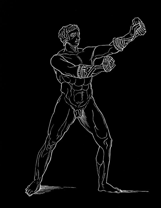 Boxer, ilustração para 