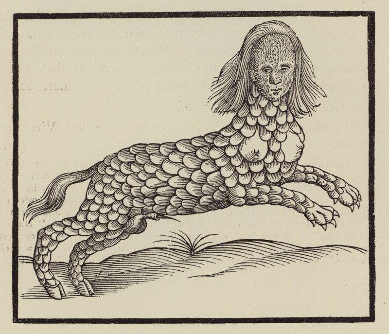 Criatura de quatro patas com corpo coberto de escamas (gravura) de (after) English School