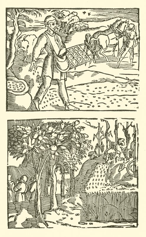 Ilustração para As Baladas Roxburghe (xilogravura) de (after) English School