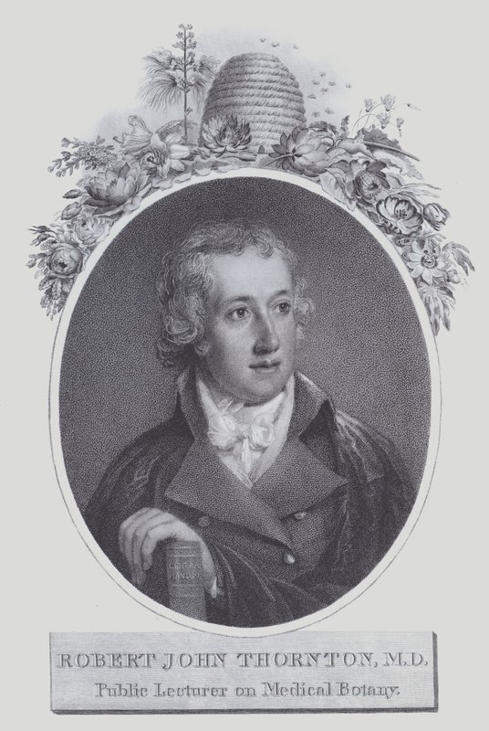 Robert John Thornton (litho) de (after) English School