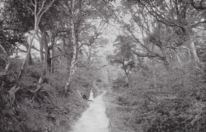 Fairlight Glen (fotografia a preto e branco) de (after) English photographer