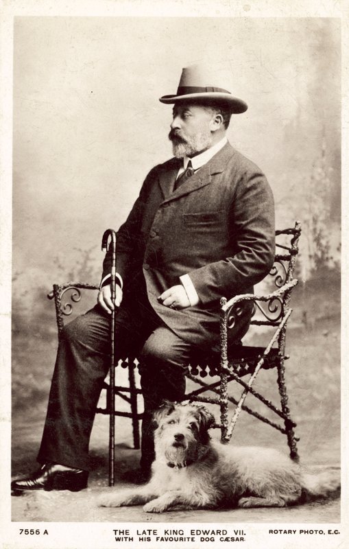 O falecido Rei Eduardo VII, com este cão favorito César (foto a p/b) de (after) English photographer