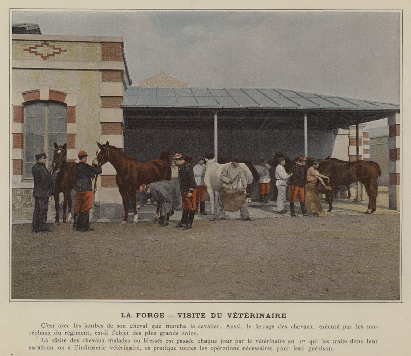 La Forge, Visita do Veterinário (foto colorida) de (after) French Photographer