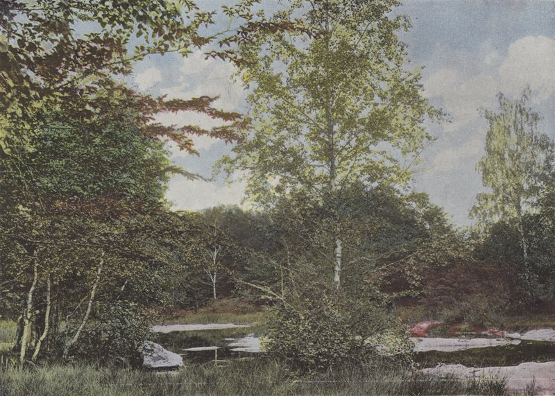 La mare aux Fees (foto colorida) de (after) French Photographer
