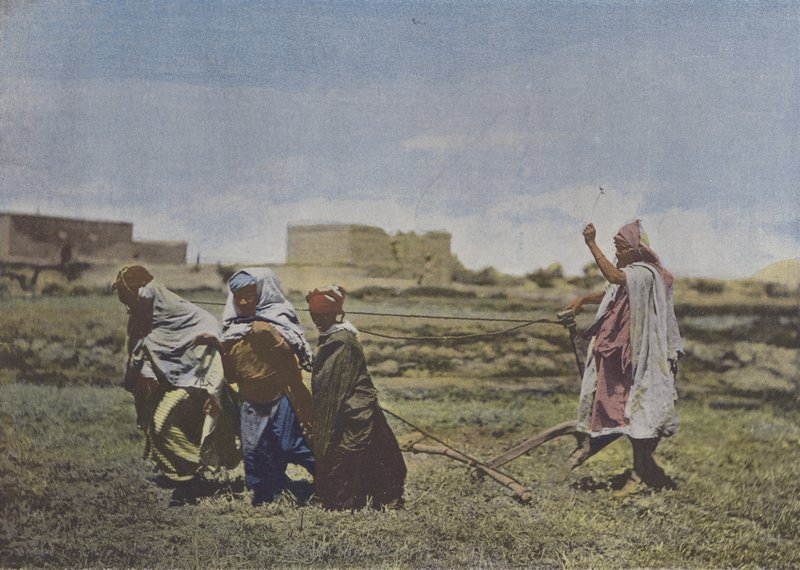Le Labourage en Kabylie (foto colorida) de (after) French Photographer