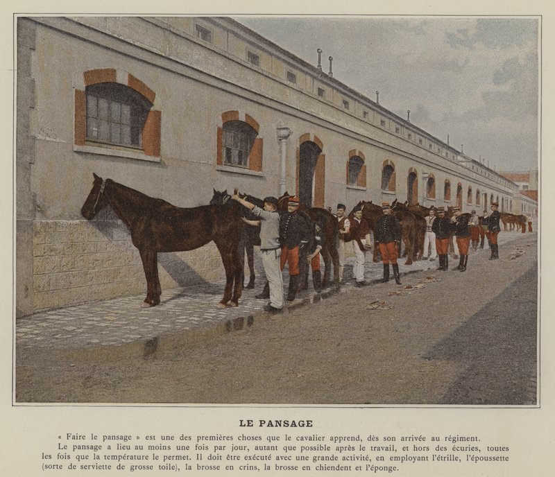 Le Pansage (foto colorida) de (after) French Photographer