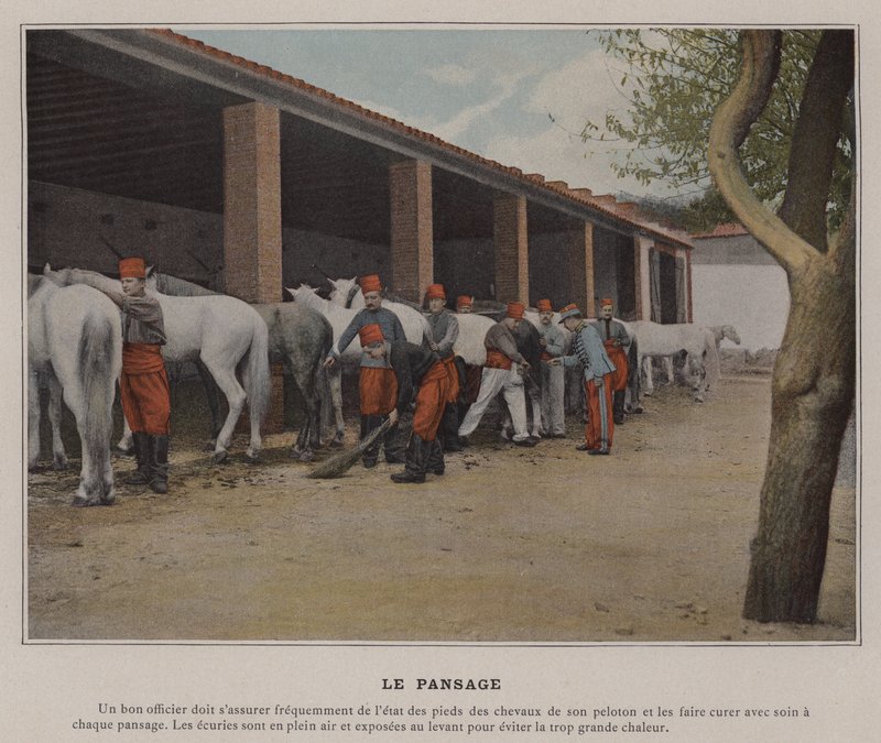 Le Pansage (foto colorida) de (after) French Photographer