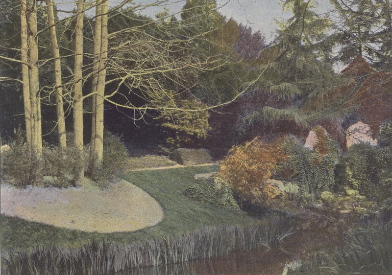 Nantes, The Jardin des Plantes (foto colorida) de (after) French Photographer