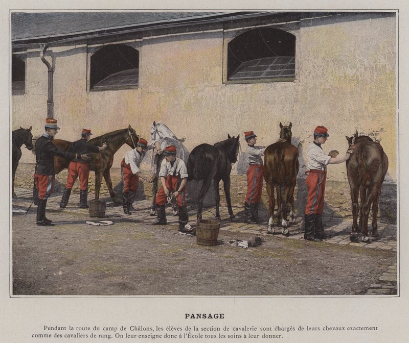 Pansage (foto colorida) de (after) French Photographer