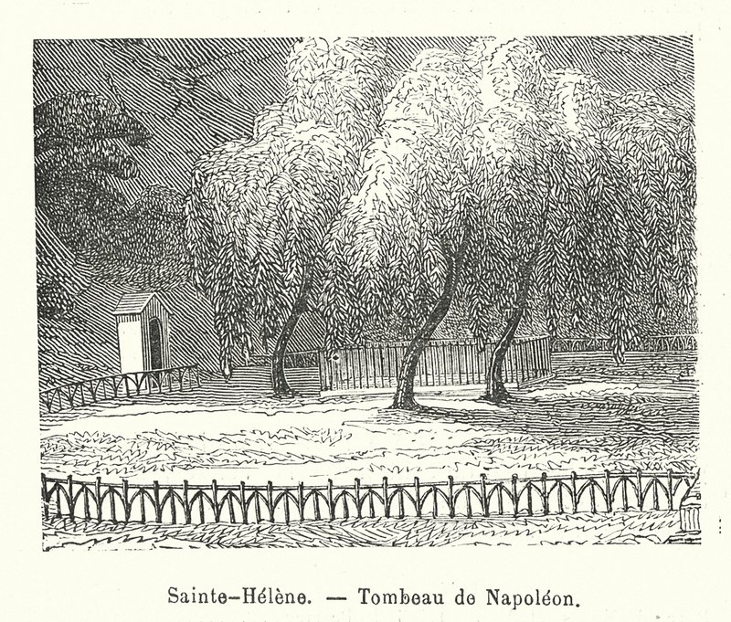 Sainte-Helene, túmulo de Napoleão (gravura) de (after) French School