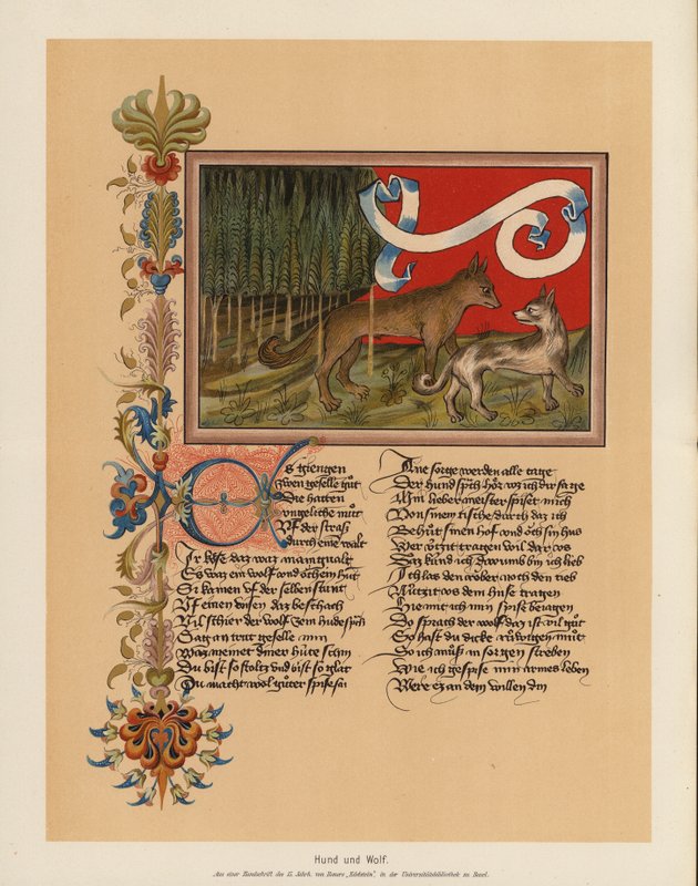 Cão e lobo (litografia a cores) de (after) German School