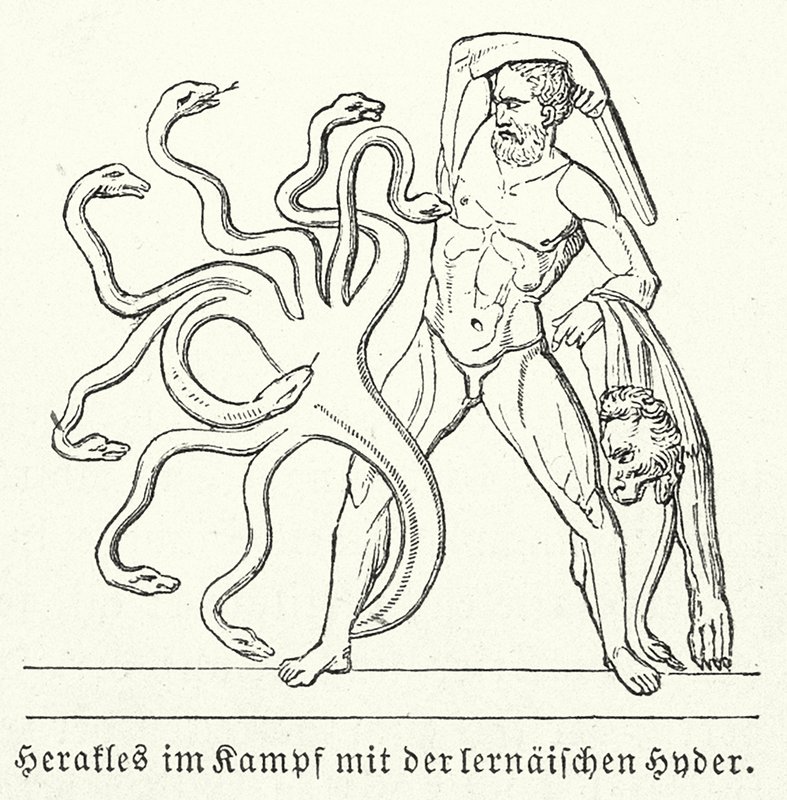 Heracles lutando contra a Hidra de Lerna (gravura) de (after) German School