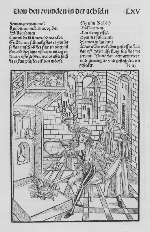 O Livro de Cirurgia de Hieronymus Brunschwig (litho) de (after) German School