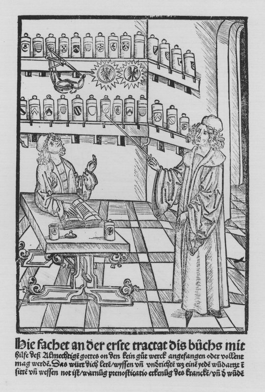 O Livro de Cirurgia de Hieronymus Brunschwig (litho) de (after) German School