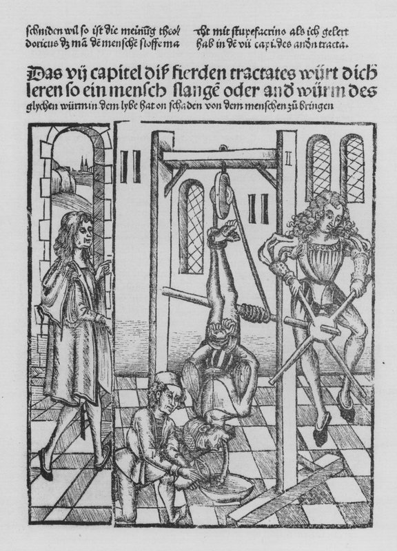 O Livro de Cirurgia de Hieronymus Brunschwig (litho) de (after) German School