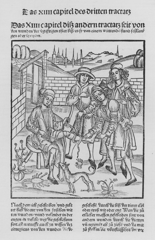 O Livro de Cirurgia de Hieronymus Brunschwig (litho) de (after) German School