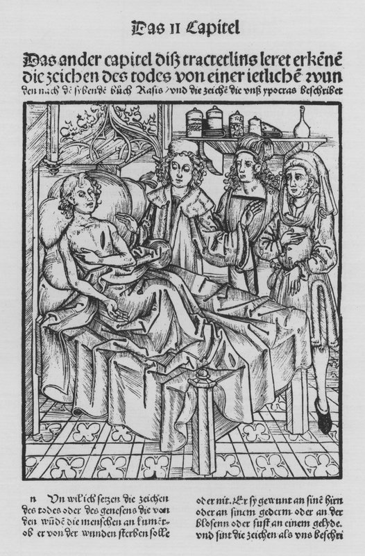 O Livro de Cirurgia de Hieronymus Brunschwig (litho) de (after) German School