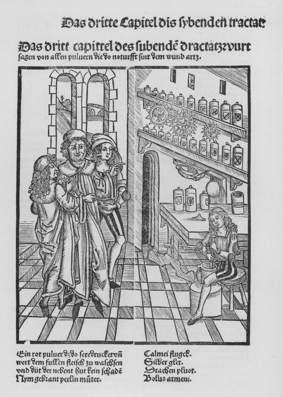 O Livro de Cirurgia de Hieronymus Brunschwig (litho) de (after) German School