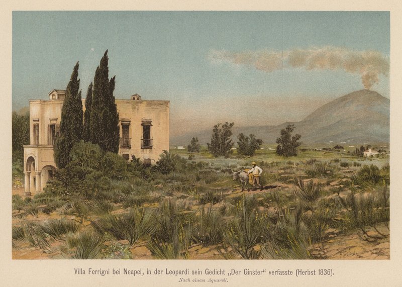 Villa Ferrigni, perto de Nápoles (litografia a cores) de (after) German School