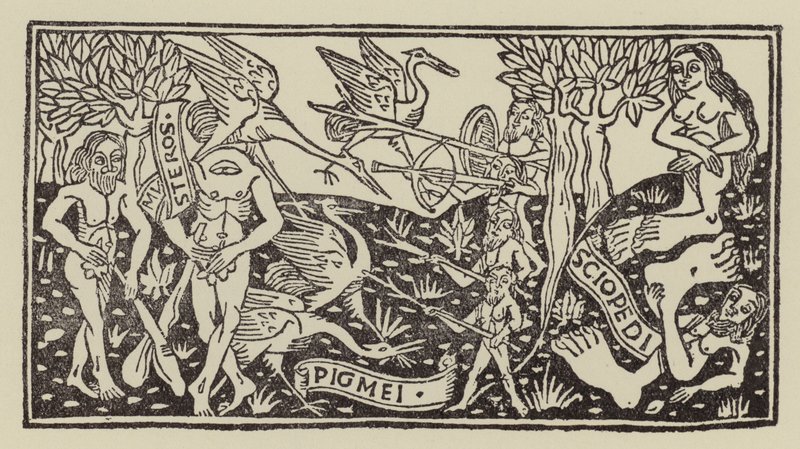 Homens fabulosos e monstros das Índias (xilogravura) de (after) Italian School