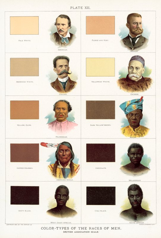 Cor-tipos das raças dos homens, escala britânica da associação de American School