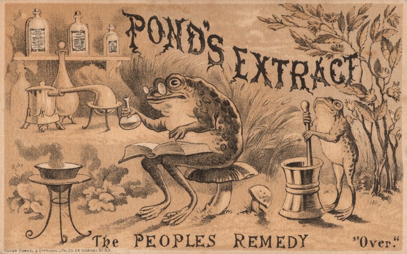Rãs que preparam medicamentos, propaganda de extrato de lagoas de American School