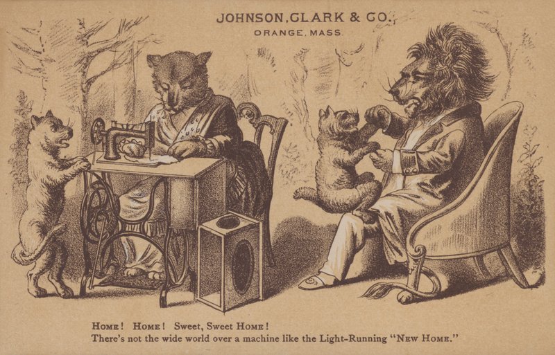 Johnson, Clark & Co de American School