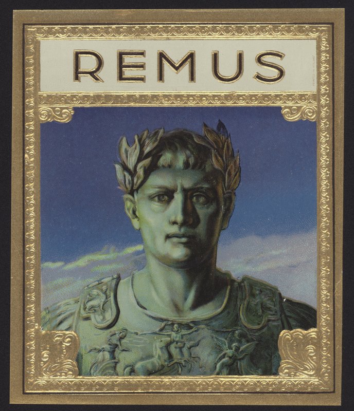 Remus de American School