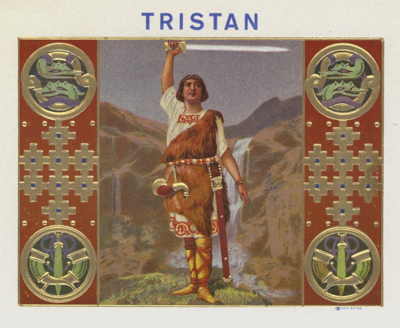 Tristão de American School