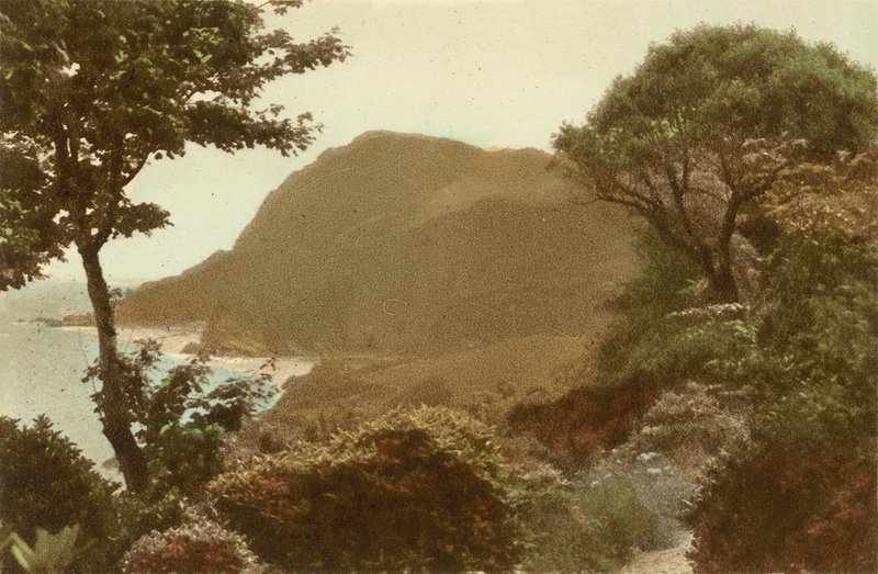 Ilfracombe, Hillsborough de St James Gardens de English Photographer