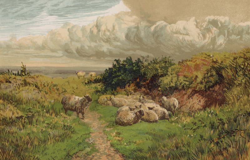 Uma pastoral inglesa de English School
