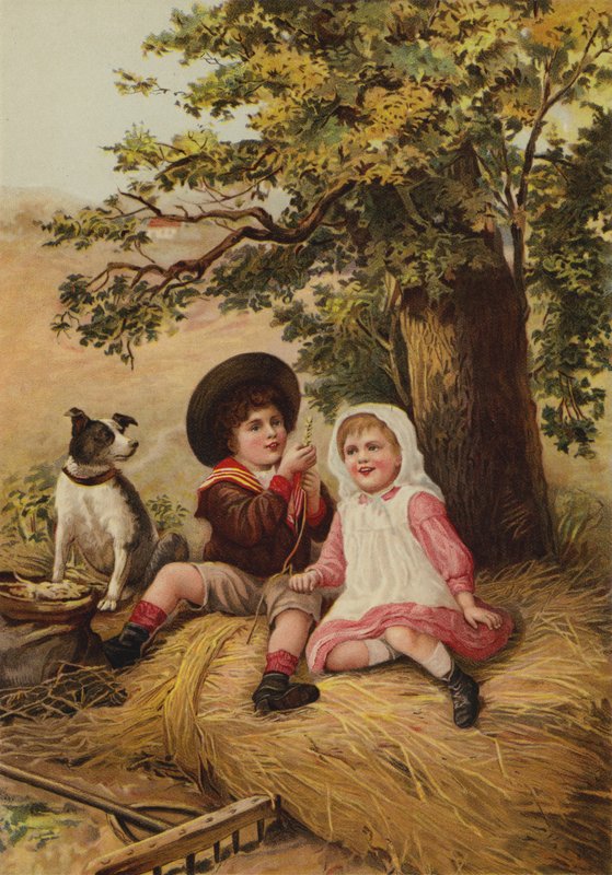 Crianças, tocando, campo de English School