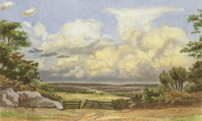 Nuvens, Cumulo - Nimbus de English School