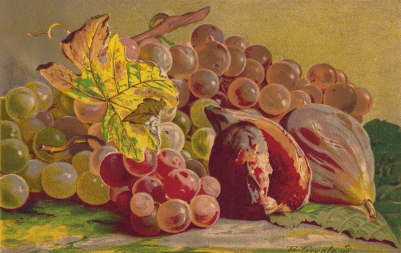Figos e uvas de English School